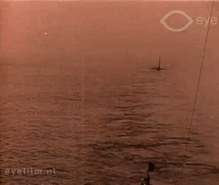 Atlantic Fleet GIFs - Find & Share on GIPHY