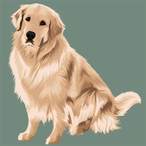 Golden Retriever Art | Digital Art | Vector Pets | Pet Illustrations ...