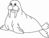 Walrus Coloring Page Isolated For Kids 5163280 Vector Art At Vecteezy sketch template