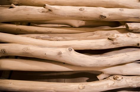 Free Images : driftwood, tree, branch, wood, trunk, rustic, rural, log ...