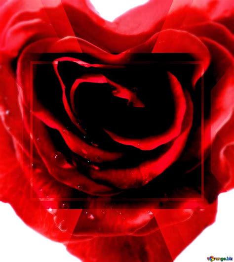Kostenloses Bild herunterladen Rose heart happy birthday card Design Template auf CC-BY Lizenz ...