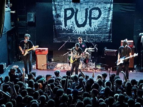 Pop-Punks PUP Continue to Prove Their Consistency with “Anaphylaxis ...