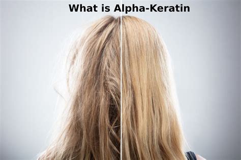 What is Alpha-Keratin: Definition, Structure, Types, and More