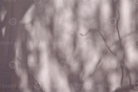 Shadow texture background 11321612 Stock Photo at Vecteezy