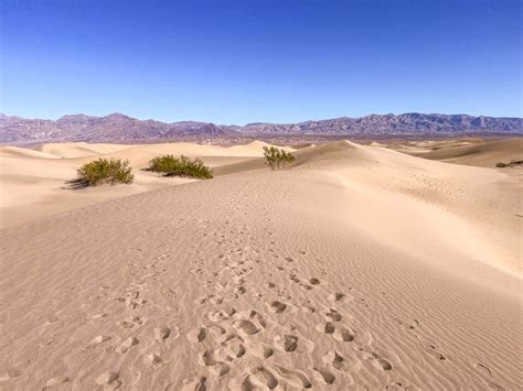 Exploring the Mesquite Flat Sand Dunes— The Discoveries Of