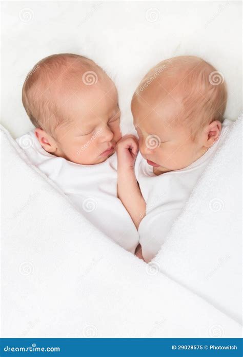 Sleeping twin babies stock image. Image of person, together - 29028575