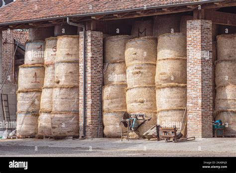 Hay bales storage in a farm building. Intensive animal farming or ...