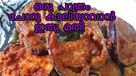 ഒറ്റപ്പാത്രം ചോറുകാലിയാവാൻ ഇതുമാത്രം മതി😋 #brinjal fry#malayalam#nilgiri vlogs by almas hena ...