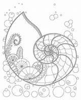 Underwater Plants Coloring Pages At GetColoringscom  Free Printable sketch template