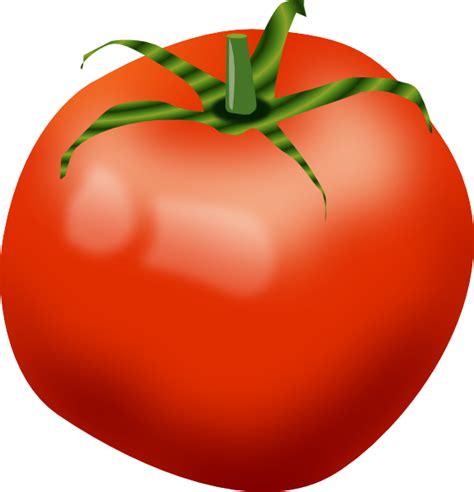 Tomato Clip Art Cartoon Transparent HQ PNG Download | FreePNGImg