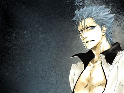 Grimmjow - Grimmjow Jeagerjaques Fan Art (7757754) - Fanpop