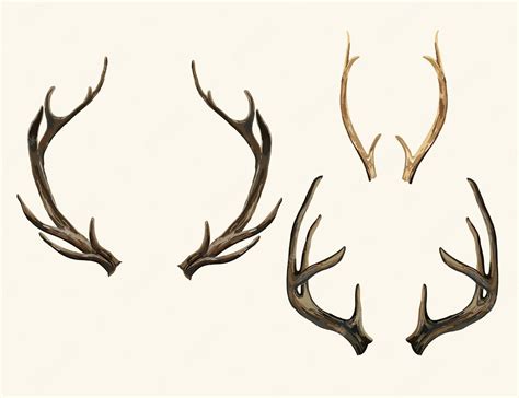 Premium Vector | Beautiful vector set of reindeer horns hand drawn boho ...