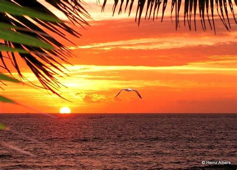 Sunset in Mamanuca Islands, Fiji Island Pictures, Fiji Islands, Bula, Amazing Flowers ...