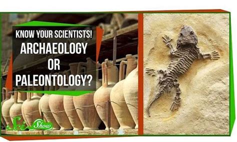 SciShow Explains The Difference Between Archaeology And Paleontology | Archaeology, Classroom ...