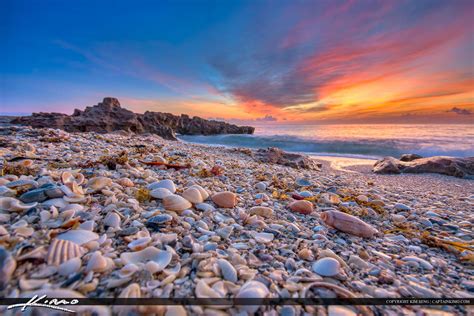 Seashells-at-Jupiter-Island-Beach-Sunrise-Over-Oce by CaptainKimo on DeviantArt