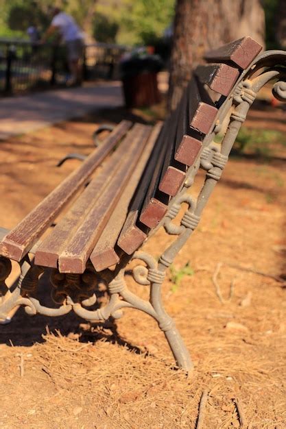 Premium Photo | A vintage park benches