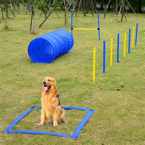 An agility course to bring the dog show right to your own backyard ...