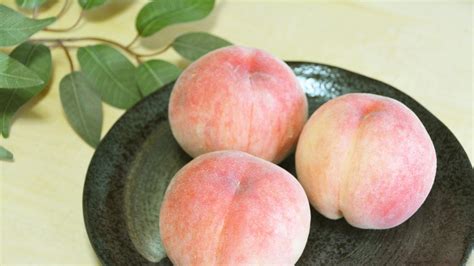 Why Everyone Preaches about Japanese Peaches | byFood