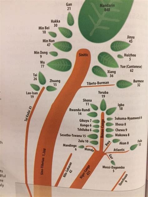 Sino-Tibetan Language Tree Diagram | Quizlet