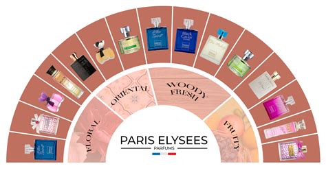 The Fragrance Wheel: Understanding the Art of Scent Composition - All ...