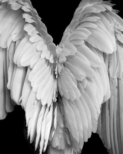 but first I’ll make you strong.”” | Wings, Angel art, Angel