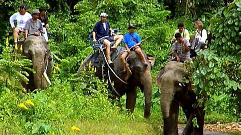 Elephant safari in Khao Sok National Park in Thailand | Britannica