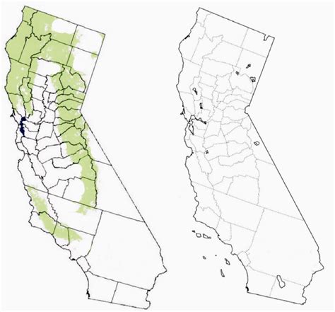 California Grizzly Bear Distribution. 17th Century vs Now : r/MapPorn