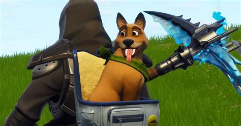 'Fortnite' Season 6 Pets: How to Unlock the New Items, a Definitive Guide