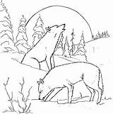 Wolf Howling Coloring Pages At GetColoringscom  Free Printable sketch template