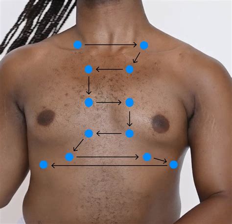 Anterior Thorax – Auscultation – Introduction to Health Assessment for the Nursing Professional