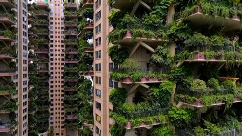 Plant-covered Chinese apartment buildings - CGTN