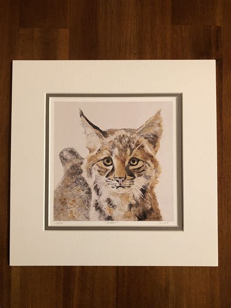 Animal Print: Bobcat - Lake Tahoe Wildlife Care, Inc.