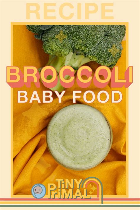 Broccoli Baby Food (The Best Puree Pecipe) - Tiny Primal