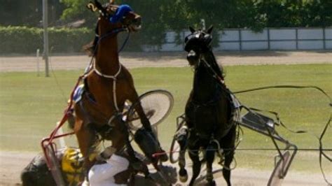 Propping Up The Maine Harness Racing Industry Makes Less And Less Sense | Maine Friends of Animals