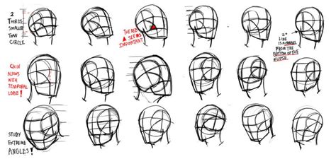 Loomis head studies | Drawing heads, Human figure drawing, Sketch book