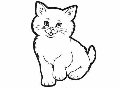 Outline Of Cat - Coloring Home