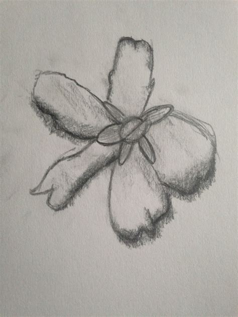 A drawing of a flower I saw in Madrid using a traditional shading ...