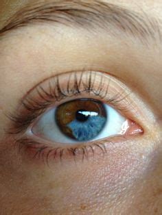 56 Eyes ideas | eyes, beautiful eyes, pretty eyes