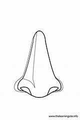 Nose Coloring Pages  Cool sketch template