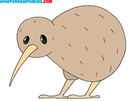 How To Draw A Kiwi Bird Easy Drawing Tutorial For Kids – NBKomputer