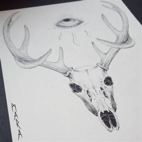 Inktober 2019 Deer Skull by https://www.deviantart.com/kronikinocnejzmory on @DeviantArt | Deer ...