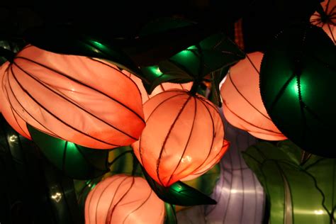 Chinese Lantern Festival 086 | Sage K. | Flickr