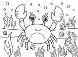 Crab coloring Page  Free Printable Coloring Pages sketch template