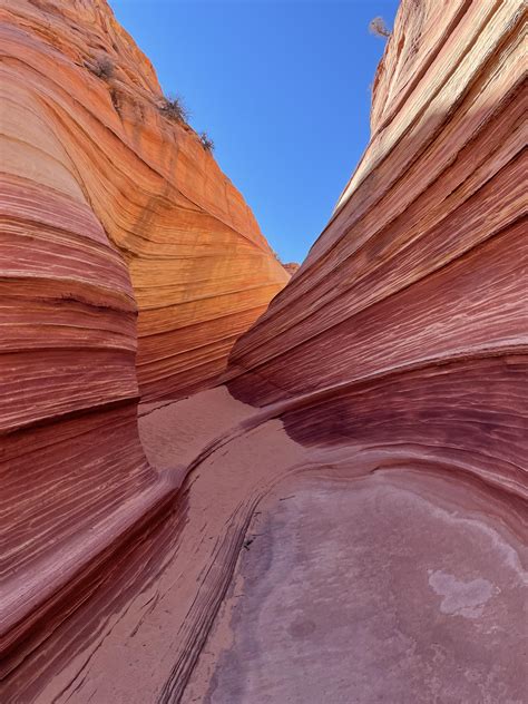 The lesser known ‘wave’ at Coyote Butte North in northern Arizona [OC ...