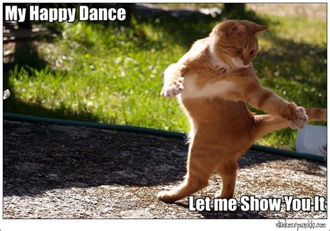 40 Happy Dance Memes to Put a Smile on Your Face - SayingImages.com ...