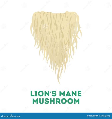 Lion Mane Mushroom Stock Illustrations – 10 Lion Mane Mushroom Stock Illustrations, Vectors ...