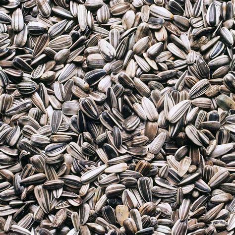 4 Amazing Health Benefits of Sunflower Seeds | EatingWell