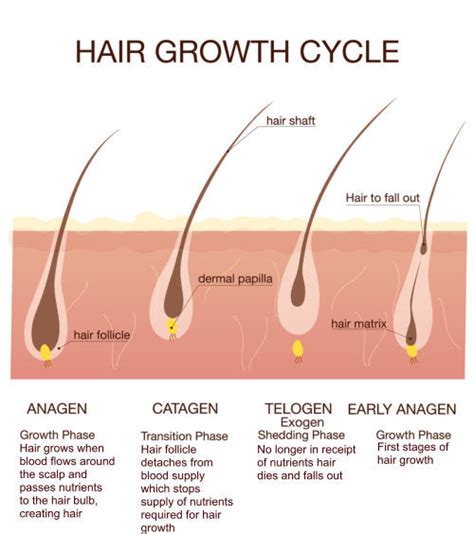 The Real Reason You Shed Hair Daily – ProTress Hair Care