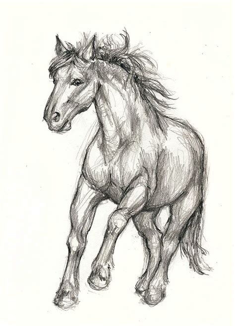 Running horse | Horse drawings, Horse art drawing, Horse sketch