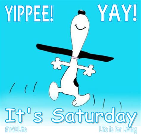 Yay, it's Saturday! Happy Saturday friends :) #taolife | Saturday morning quotes, Saturday ...